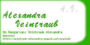 alexandra veintraub business card